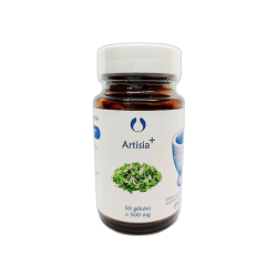 Artisia 50 gélules x 500 mg