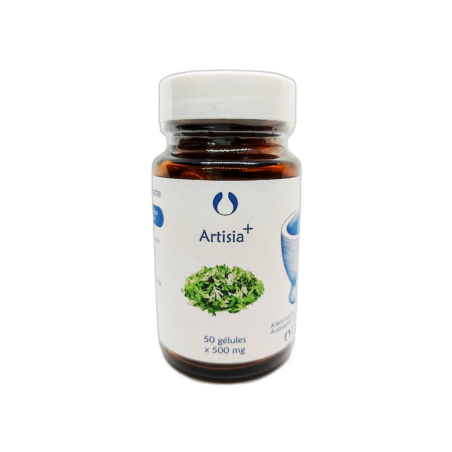 Artisia 50 gélules x 500 mg