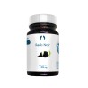 copy of Lisina 50 cápsulas x 500 mg